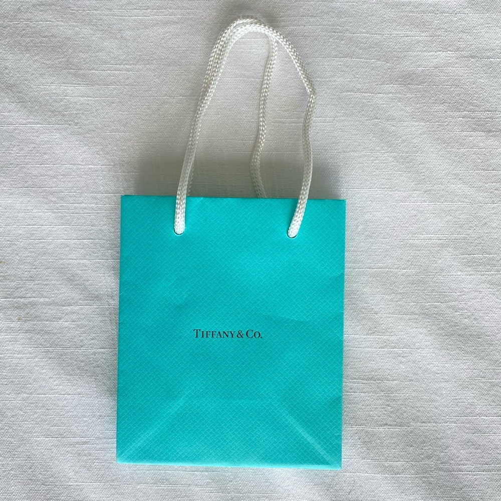 Tiffany & Co. small gift bag